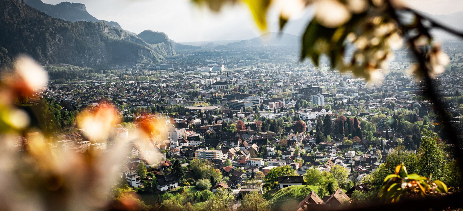 Blick auf Dornbirn Umgebung © Studio Fasching, Dornbirn Tourismus und Stadtmarketing GmbH