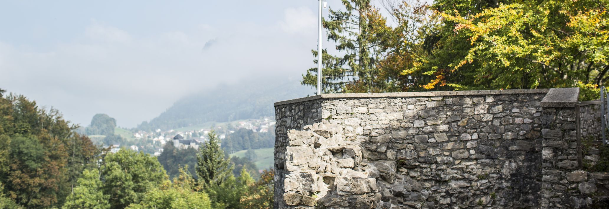 Ruine Alt-Ems, Hohenems