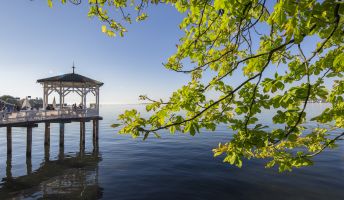 Gruppenausflugsziel Bregenz