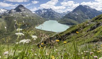 Silvretta Stausee, Bielerhöhe im Somer
