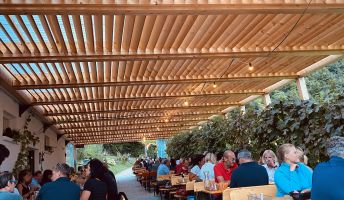 Garten Heuriger Möth in Bregenz Garten Heuriger Möth in Bregenz