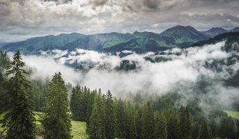 Kleinwalsertal im Nebel