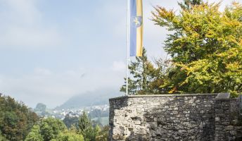 Ruine Alt-Ems, Hohenems