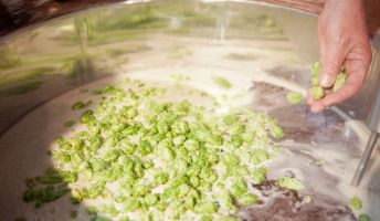 Workshop Bierbrauerei Mohren 