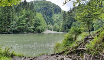 Rappenlochschlucht