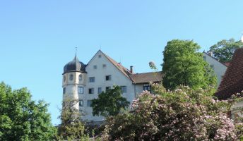 Bregenzer Stadt- und Weingeschichten