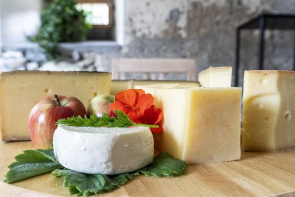 Käseplatte Käseplatte