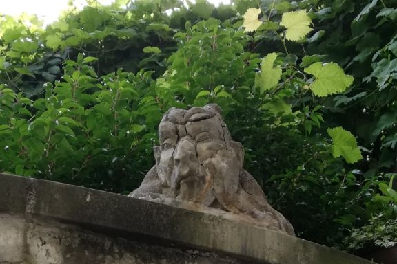 Stadtführung Stadt- und Weingeschichten Bregenz