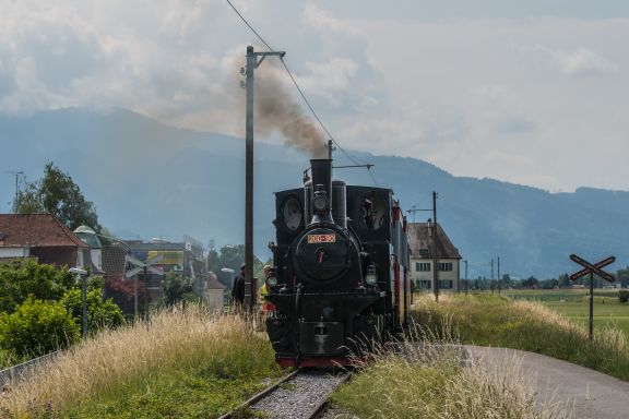 Rheinbähnle Fahrt am Rheindamm Rheinbähnle Fahrt am Rheindamm