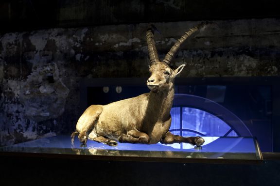 inatura Erlebnisnaturschau 