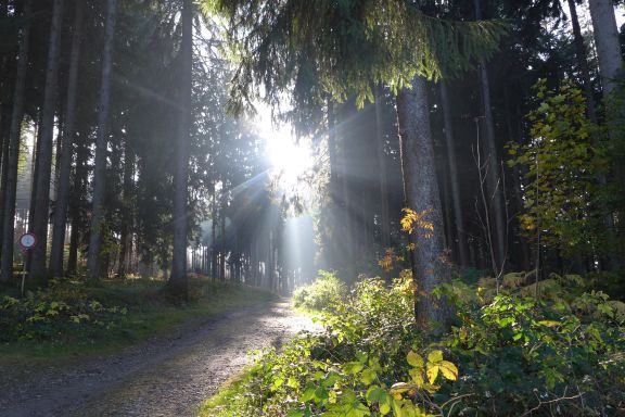 Käselehrpfad, Lochau Käselehrpfad, Lochau