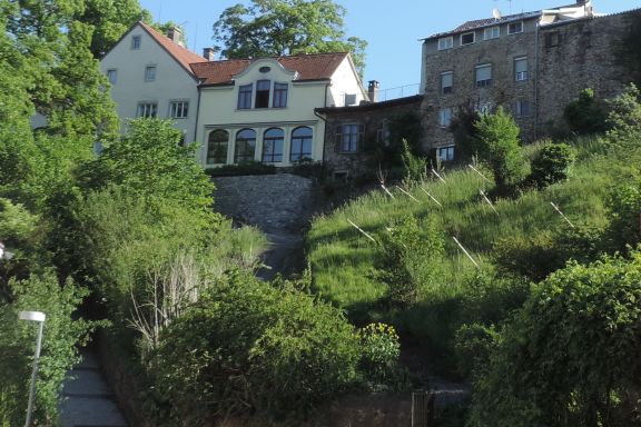 Bregenzer Stadt- und Weingeschichten