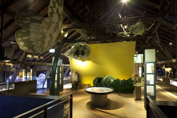 inatura Erlebnisnaturschau inatura Erlebnisnaturschau