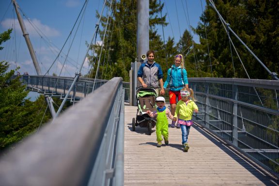 Baumwipfelpfad Skywalk Allgäu