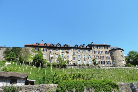 Bregenzer Stadt- und Weingeschichten