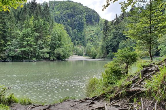 Rappenlochschlucht Rappenlochschlucht