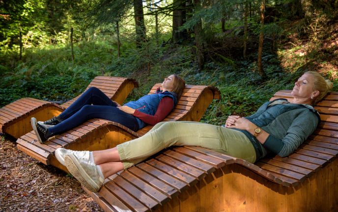 Naturerlebnispark Skywalk Allgäu, Gruppenreisen am Bodensee
