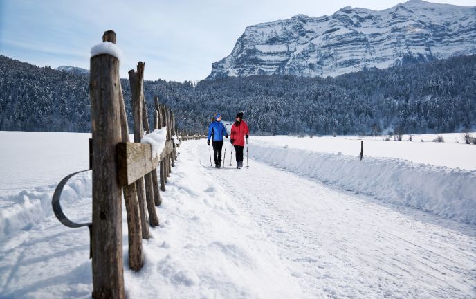 Winterwandern Bregenzerwald mit Blick auf Kanisfluh