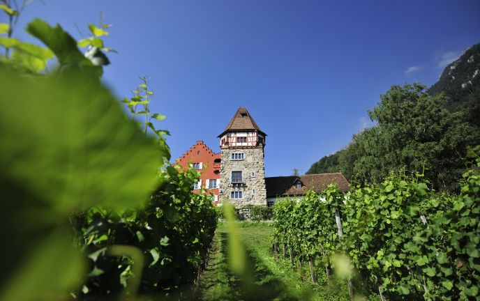 Rotes Haus und Weingärten in Liechtenstein