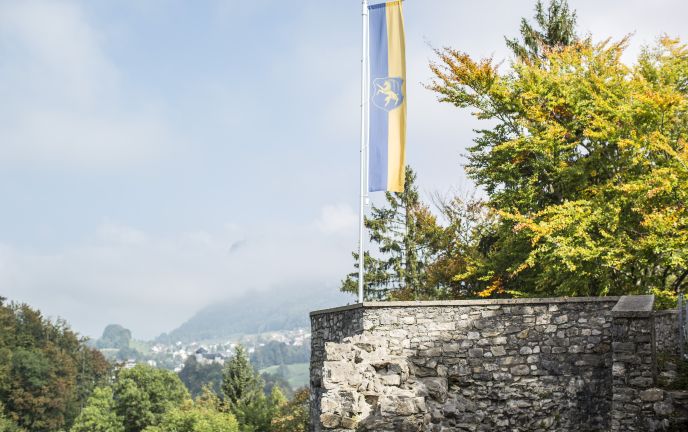 Ruine Alt-Ems, Hohenems