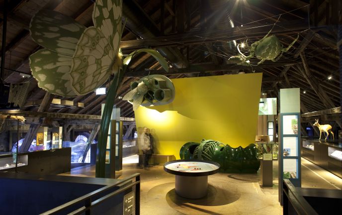 inatura Erlebnisnaturschau 