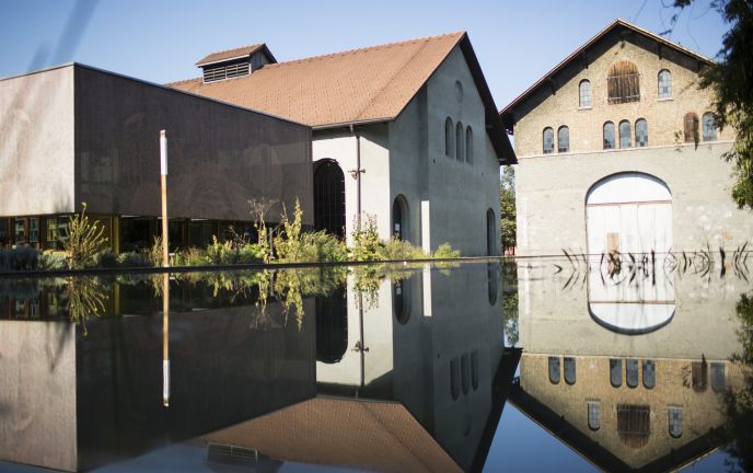 Gruppen Ausflugsziel inatura Dornbirn