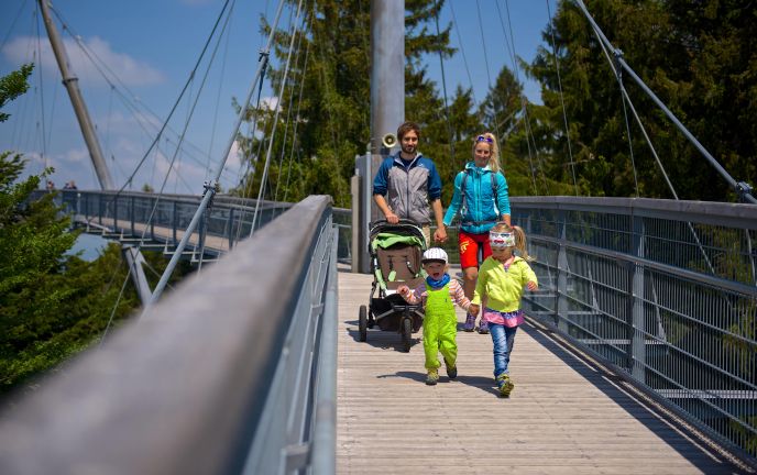 Baumwipfelpfad Skywalk Allgäu