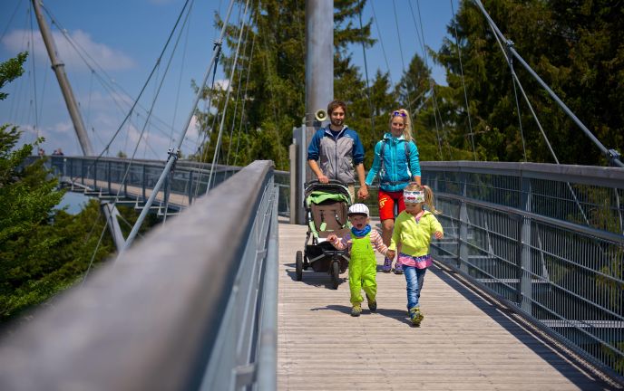 Baumwipfelpfad Skywalk Allgäu Baumwipfelpfad Skywalk Allgäu