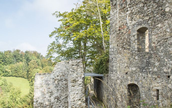 Ruine Alt-Ems, Hohenems