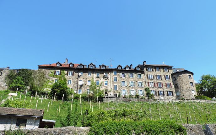 Bregenzer Stadt- und Weingeschichten