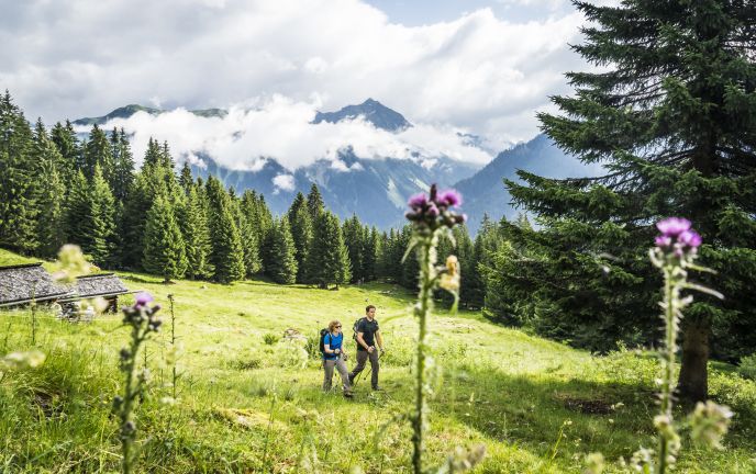 Wandern im Garneratal, Montafon  Wandern im Garneratal, Montafon