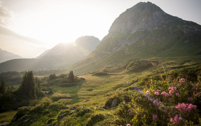 Blick ins Lechtal im Sommer, Arlberg