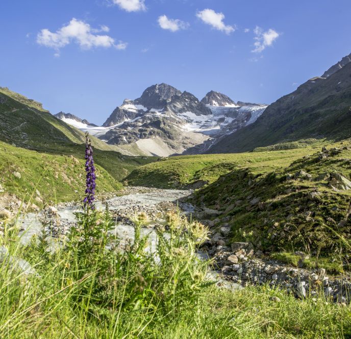 Piz Buin, Montafon Piz Buin, Montafon
