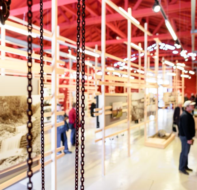 Rheinschauen und Rheinbähnle Rheinschauen und Rheinbähnle