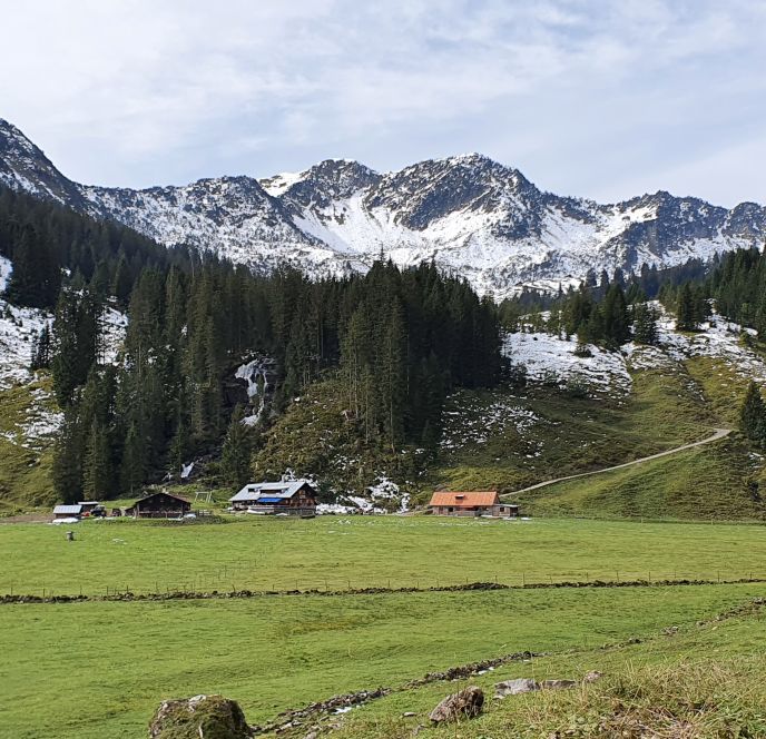 Blick auf Alpe Melköde, Kleinwalsertal Blick auf Alpe Melköde, Kleinwalsertal