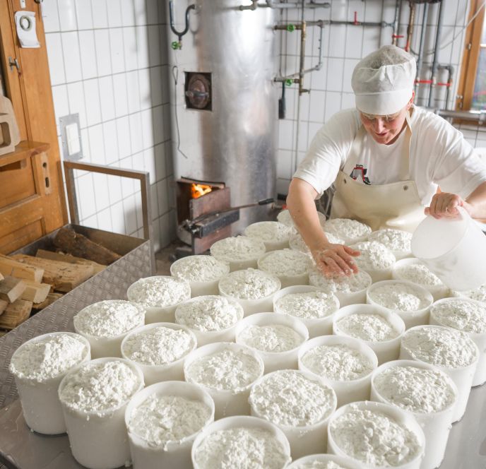 Käse Herstellung Alpe Nova, Montafon