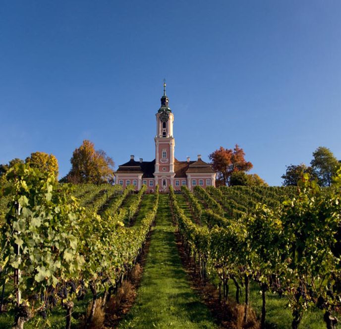 Birnau Weinberge am Bodensee Birnau Weinberge am Bodensee