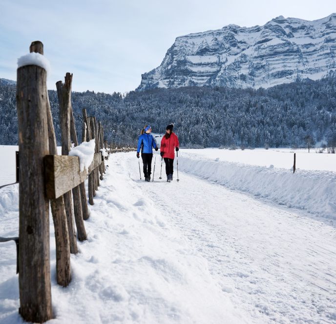 Winterwandern Bregenzerwald mit Blick auf Kanisfluh