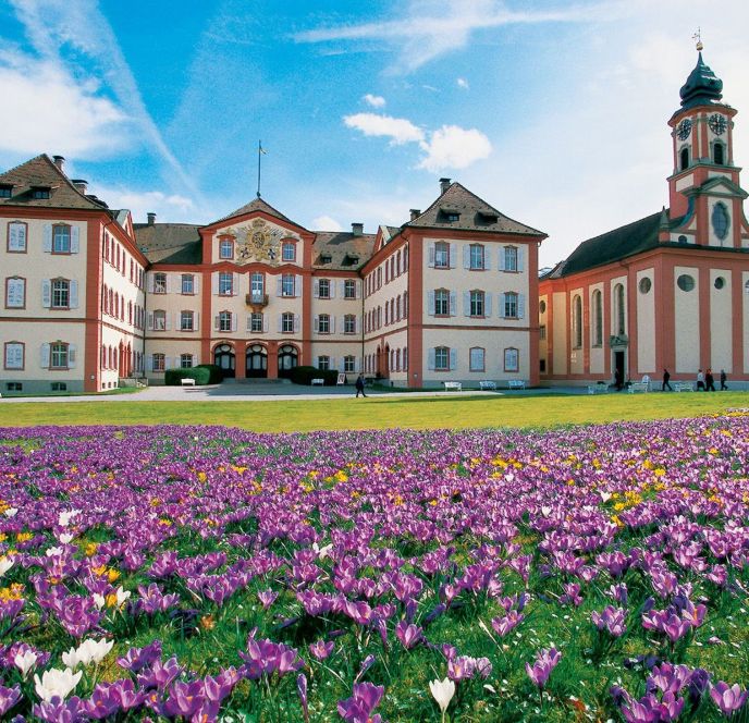 Blumen auf der Insel Maina