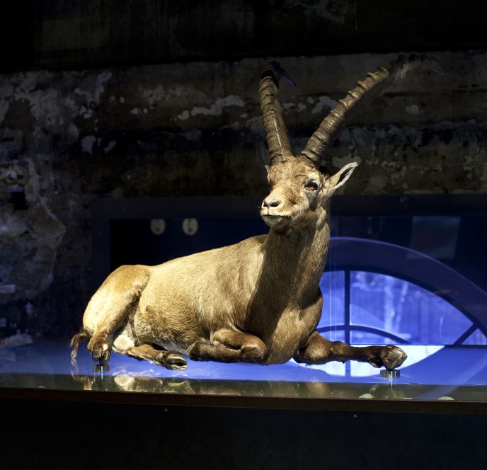 inatura Erlebnisnaturschau 