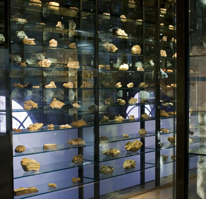 inatura Erlebnisnaturschau 