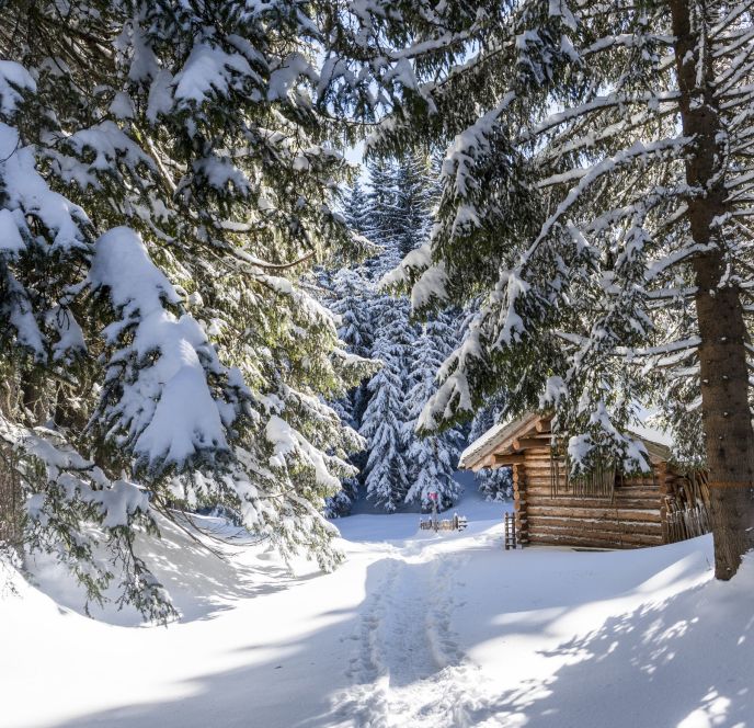 Schneeschuh Wanderweg Kristberg, Montafon Schneeschuh Wanderweg Kristberg, Montafon