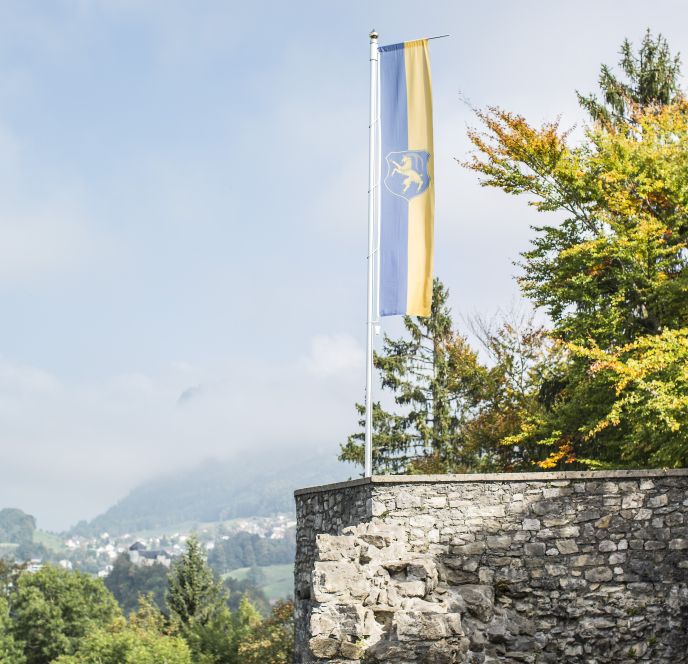 Ruine Alt-Ems, Hohenems