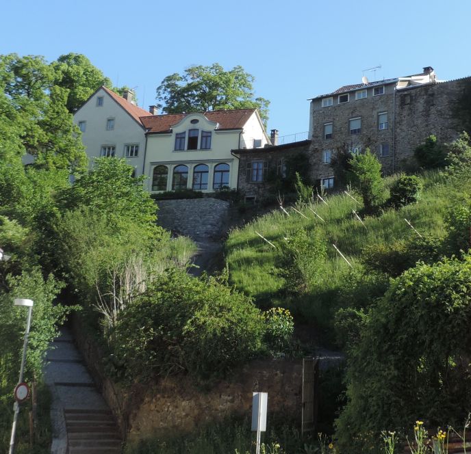 Bregenzer Stadt- und Weingeschichten Bregenzer Stadt- und Weingeschichten