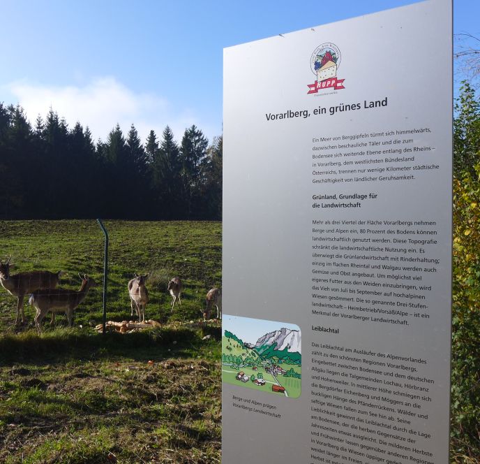 Käselehrpfad Pfänder Käselehrpfad Pfänder