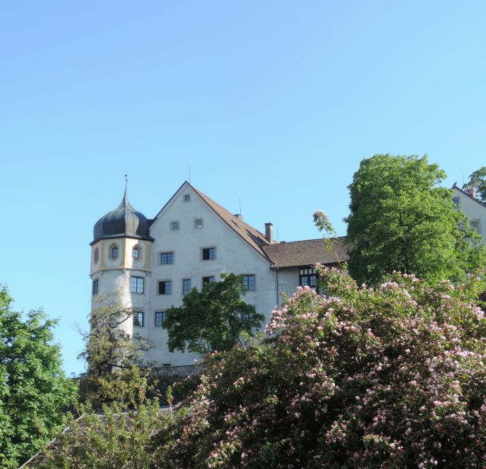Bregenzer Stadt- und Weingeschichten