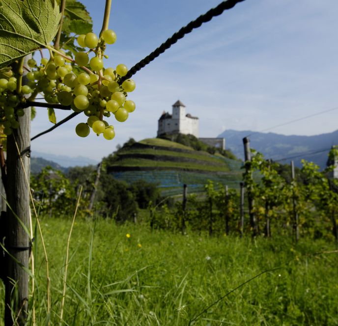 Burg Gutenberg in Balzers, Liechtenstein Burg Gutenberg in Balzers, Liechtenstein