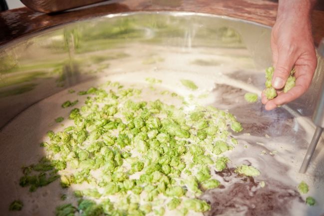 Workshop Bierbrauerei Mohren  Workshop Bierbrauerei Mohren