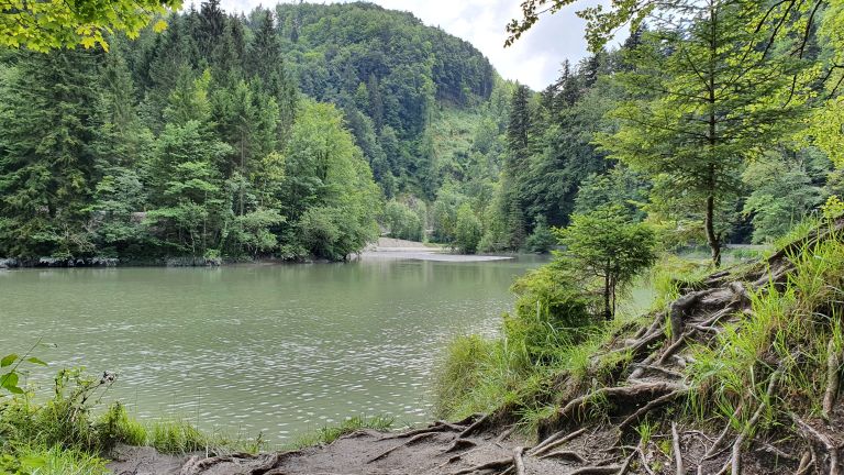 Rappenlochschlucht Rappenlochschlucht
